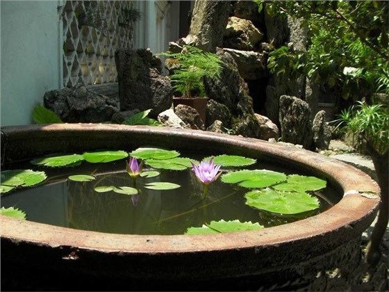 據(jù)工廠滅蠅燈廠家調(diào)查，如果去除溪澗的樹叢或灌木叢，使這類積水暴露于陽光之下，就能避免這種按蚊孳生