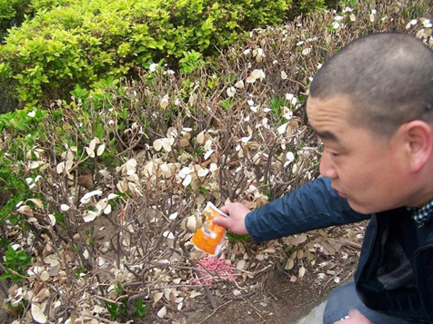  請愛護(hù)地球，保護(hù)家園