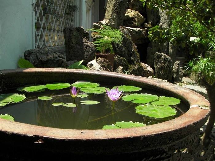 據(jù)工廠滅蠅燈廠家調(diào)查，如果去除溪澗的樹叢或灌木叢，使這類積水暴露于陽光之下，就能避免這種按蚊孳生