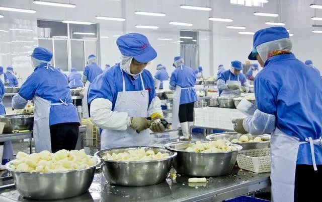 食品工廠常見的防鼠設(shè)施——帶鎖誘餌站